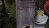 pl-cojones_10000_v2-prev01.jpg
