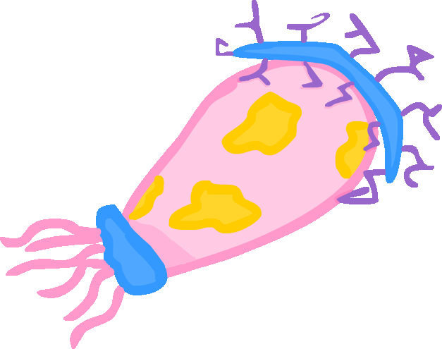 [PokeCommunity.com] Pok?mon Trivial Thoughts