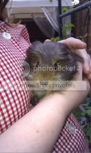 resized_ameliaandblossom2.jpg