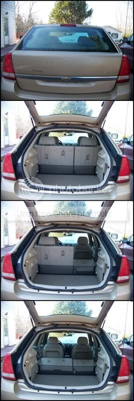 The Trunk!