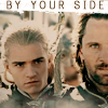 VigOrli_Stills Entry