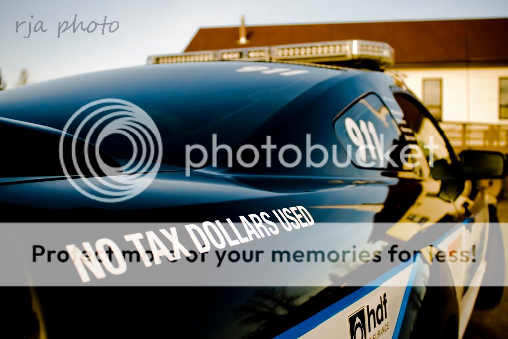 Edmonton police ford mustang #7