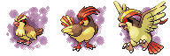 [PokeCommunity.com] The shadow adoptions
