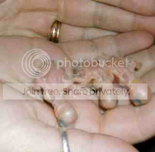 DSCN2717002.jpg