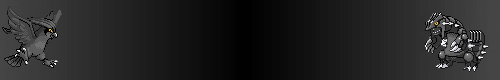 [PokeCommunity.com] the all black collection