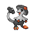 [PokeCommunity.com] the all black collection