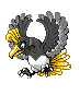 [PokeCommunity.com] the all black collection