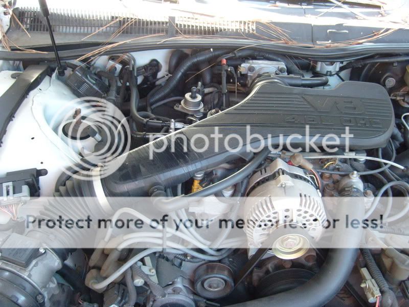 Ford thunderbird check engine light #1