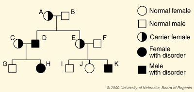 BIOLOGY notes: Unit 3 Lesson 3: childofthecornx — LiveJournal