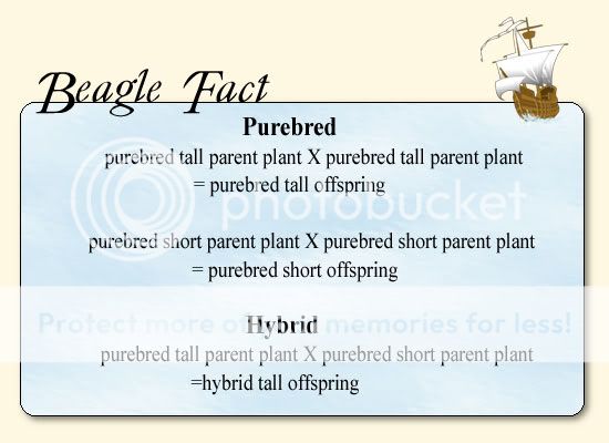 BIOLOGY notes: Unit 3 Lesson 1: childofthecornx — LiveJournal