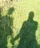 [PokeCommunity.com] Pictures of You ~~ POST THREAD