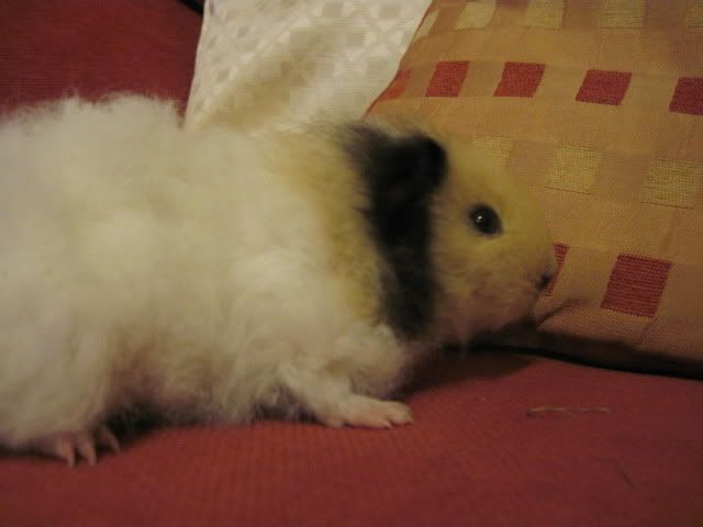 IMG_2125.jpg