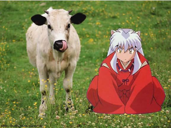 [PokeCommunity.com] ~ The Inuyasha Club ~