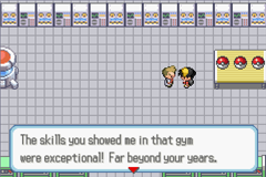 [PokeCommunity.com] Pokemon Amethyst