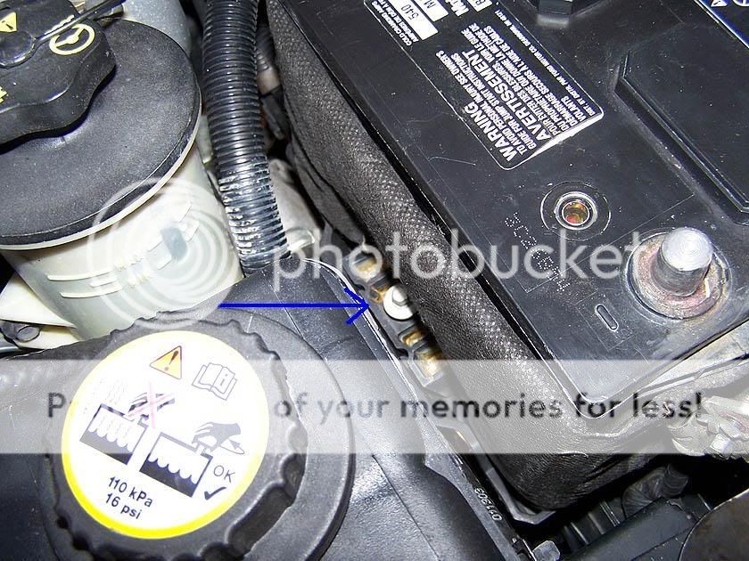 ** Alternator - removal how-to PICS** | Mustang and Ford Performance Forums