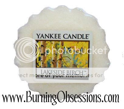 Lot of Six 6 Yankee Candle Lakeside Birch Tart