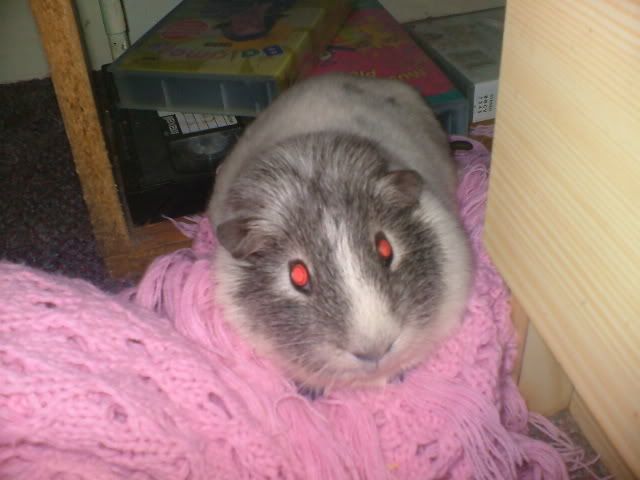 Picture029.jpg