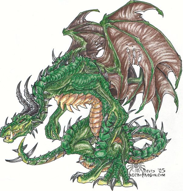[PokeCommunity.com] The rather cool dragon luvers club (not just pokemon dragons) O_O