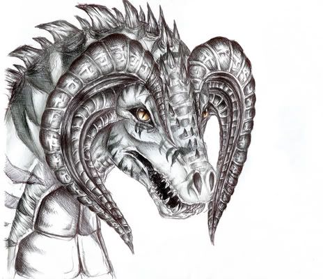 [PokeCommunity.com] The rather cool dragon luvers club (not just pokemon dragons) O_O