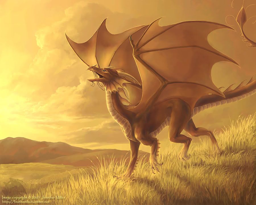 [PokeCommunity.com] The rather cool dragon luvers club (not just pokemon dragons) O_O