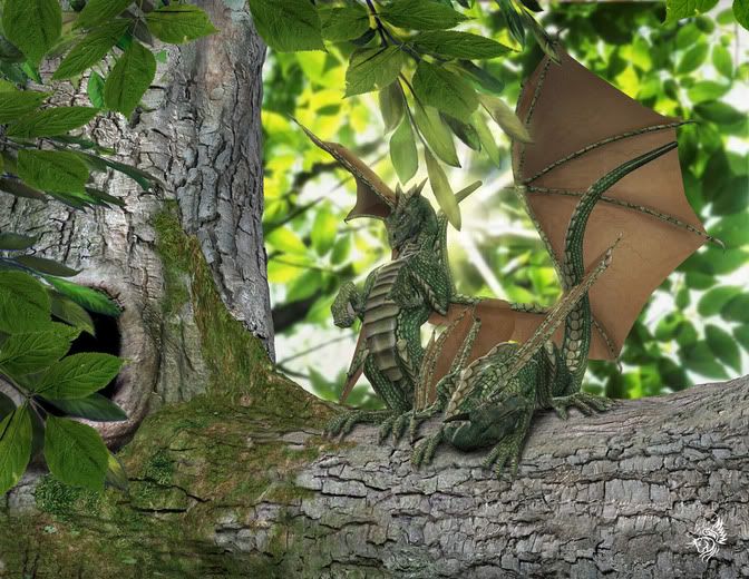 [PokeCommunity.com] The rather cool dragon luvers club (not just pokemon dragons) O_O