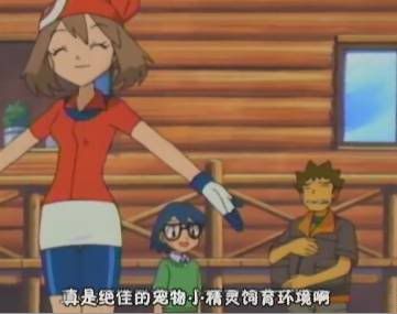 [PokeCommunity.com] The Official Brock Fan Club