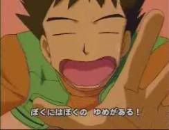 [PokeCommunity.com] The Official Brock Fan Club