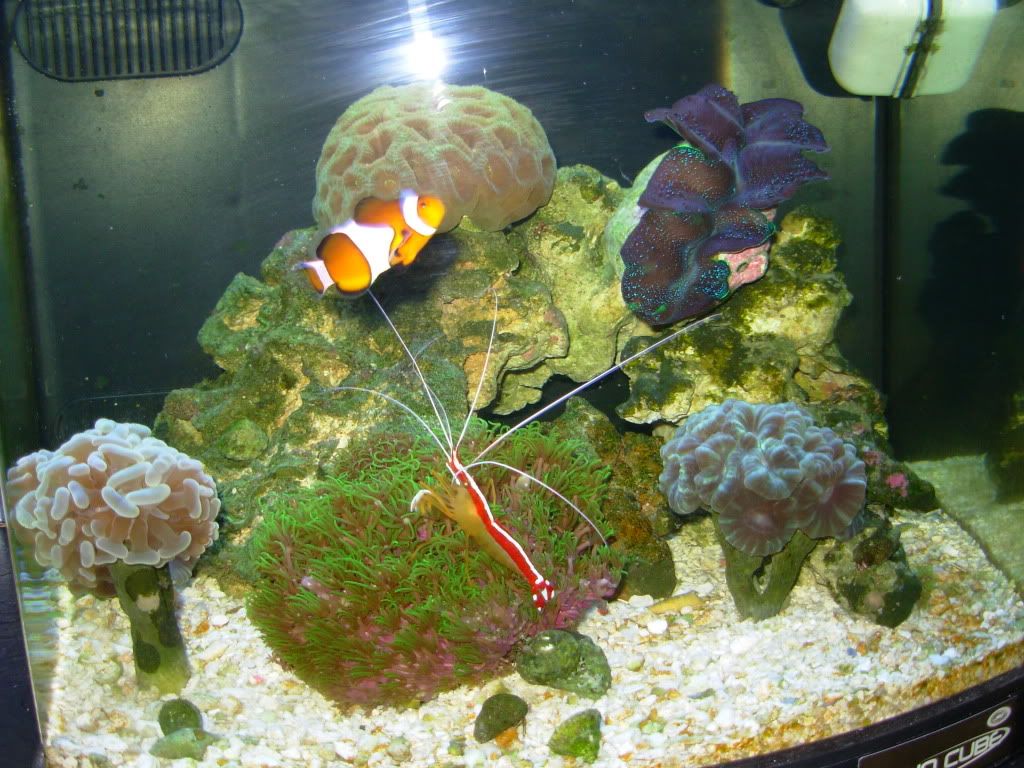 https://i6.photobucket.com/albums/y241/DBBrinson/Aquarium-03.jpg