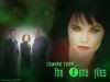 The XENA Files
