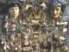 The Quest - Amazons