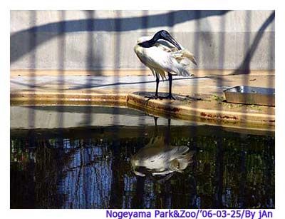 Image hosting by Photobucket