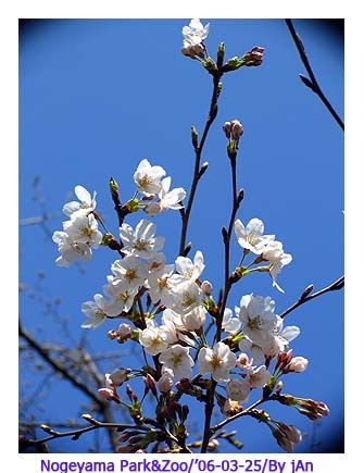 Image hosting by Photobucket