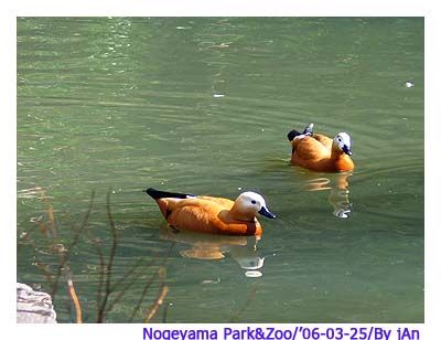 Image hosting by Photobucket