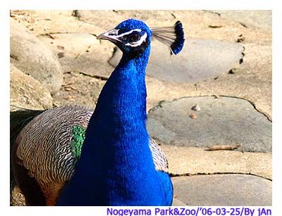 Image hosting by Photobucket