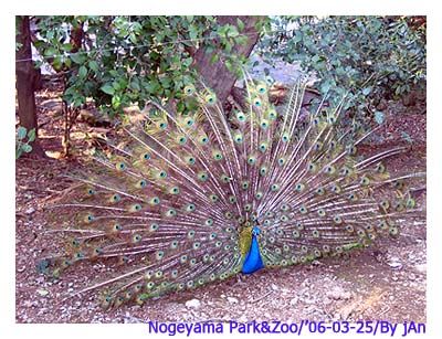 Image hosting by Photobucket