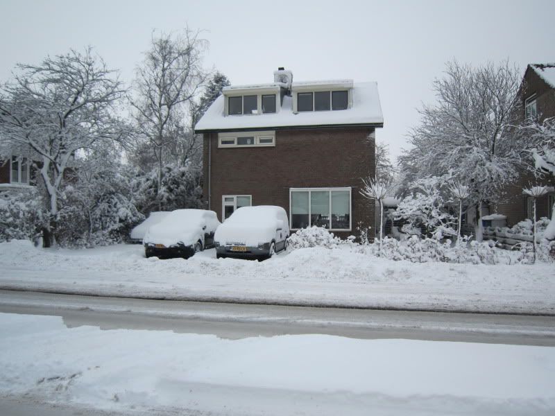 Sneeuw2010002.jpg