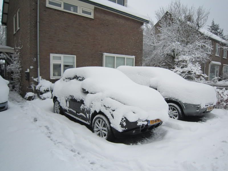 Sneeuw2010005.jpg