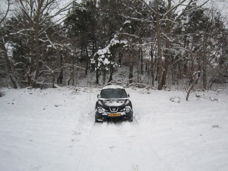 Sneeuw2010012.jpg