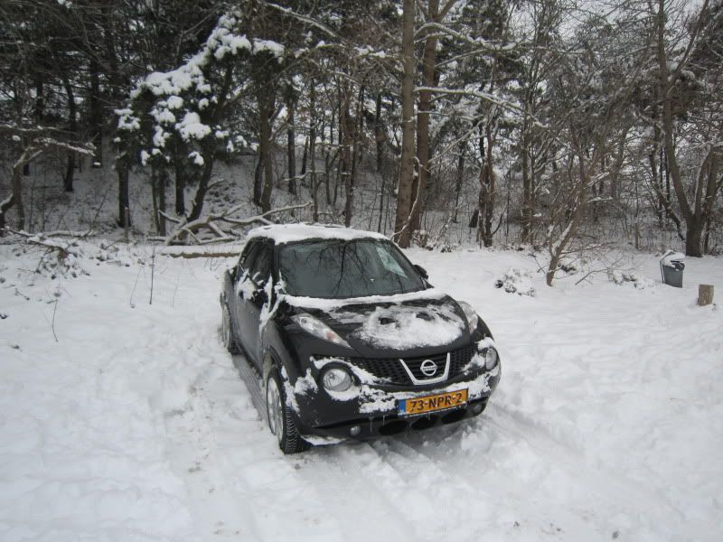 Sneeuw2010013.jpg