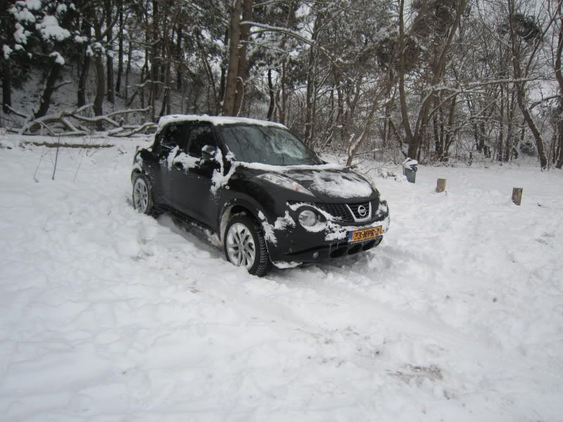 Sneeuw2010014.jpg