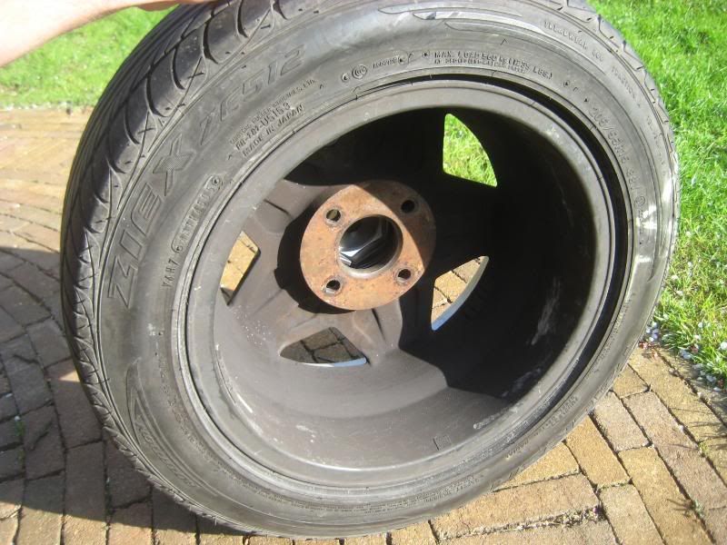 velgenbluebird001.jpg