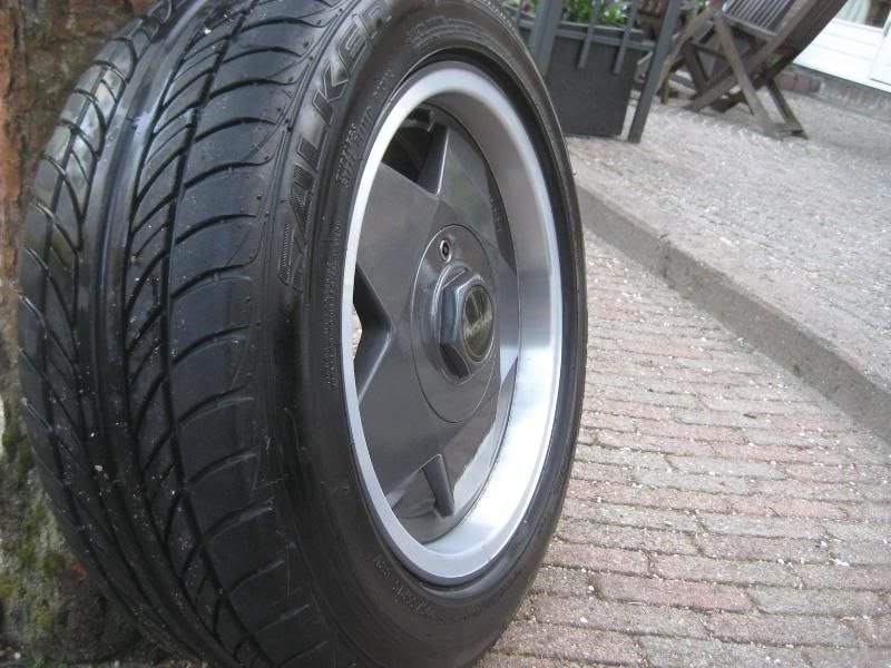 velgenbluebird011.jpg
