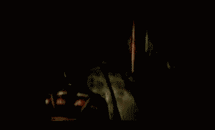 29qiniw.gif