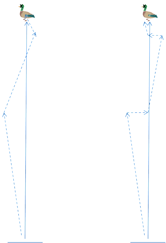 Blind1-2.png
