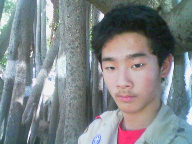 User Image