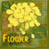 http://i6.photobucket.com/albums/y250/meggysims/flower.gif